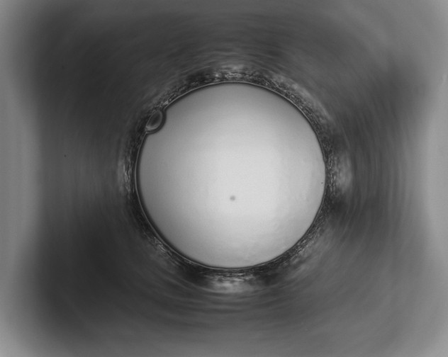 X0000102270661200808081442