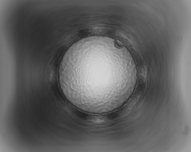 X0000102270663200808081442