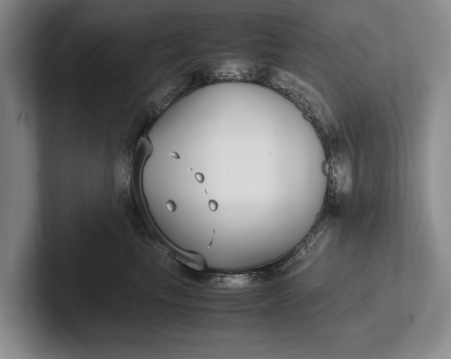 X0000102270665200808081442