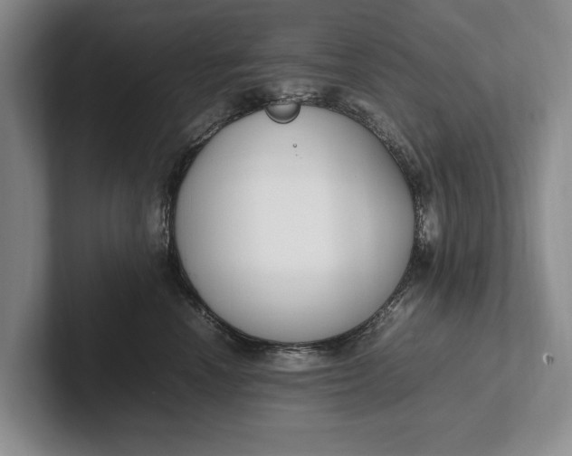 X0000102270666200808081442