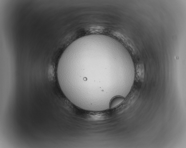 X0000102270667200808081442