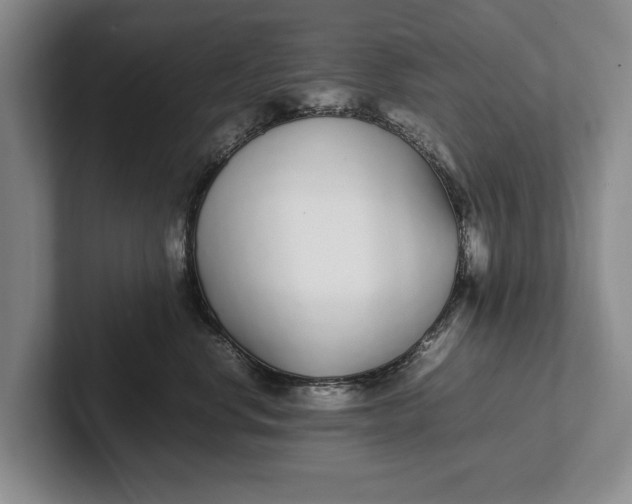 X0000102270668200808081442