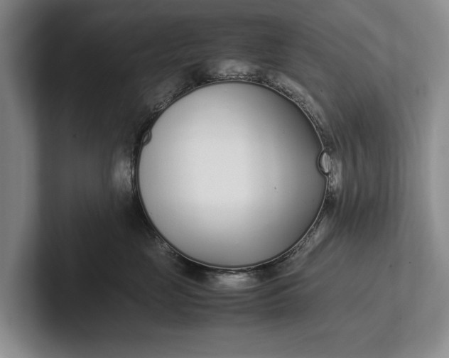 X0000102270669200808081442