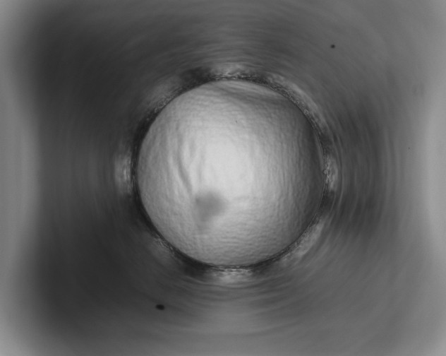 X0000102270670200808081442