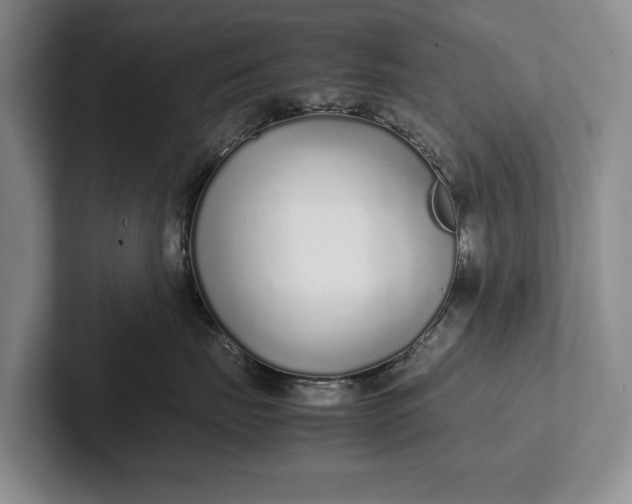 X0000102270671200808081442