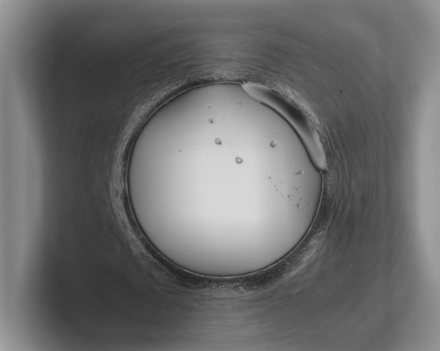 X0000102270673200808081441