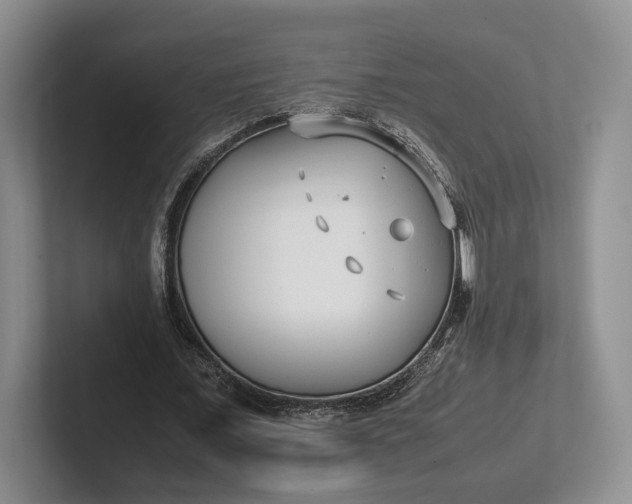 X0000102270675200808081441