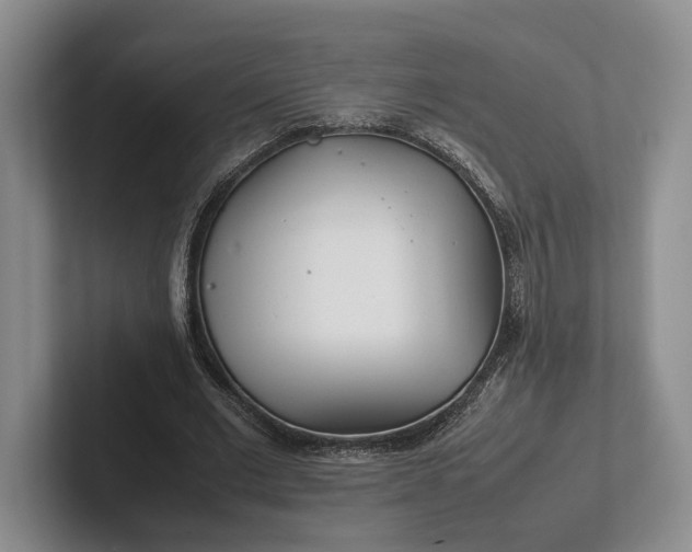 X0000102270677200808081441