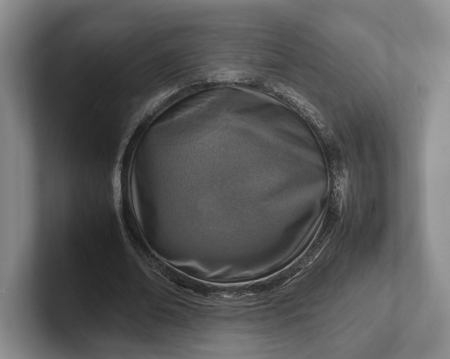 X0000102270678200808081441