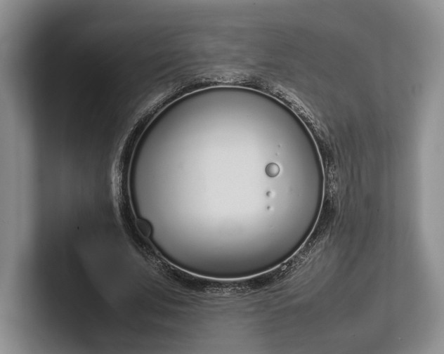 X0000102270679200808081441