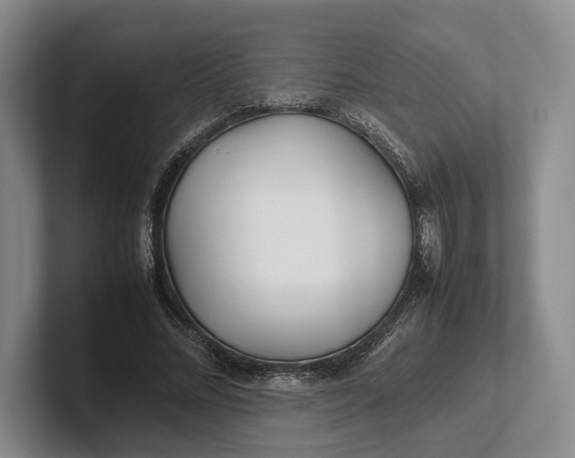 X0000102270684200808081441