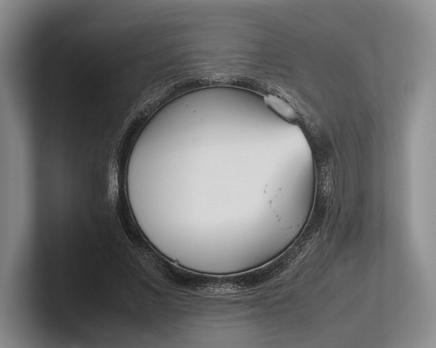 X0000102270685200808081441