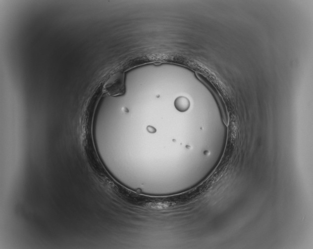 X0000102270687200808081441