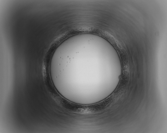 X0000102270688200808081441