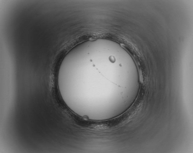 X0000102270689200808081441