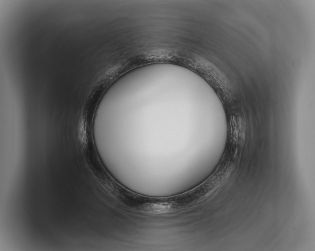 X0000102270692200808081441