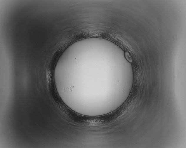 X0000102270693200808081441