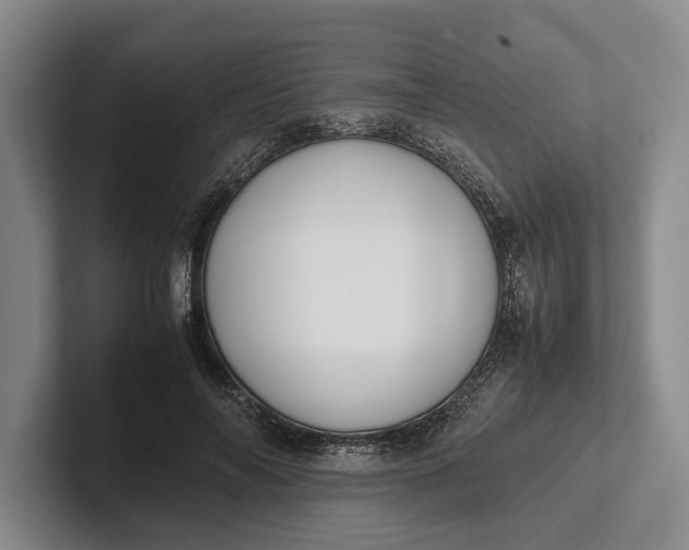 X0000102270694200808081441