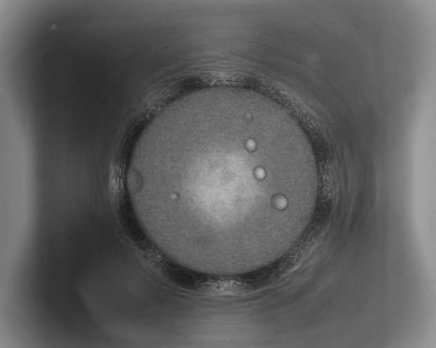 X0000102270695200808081441