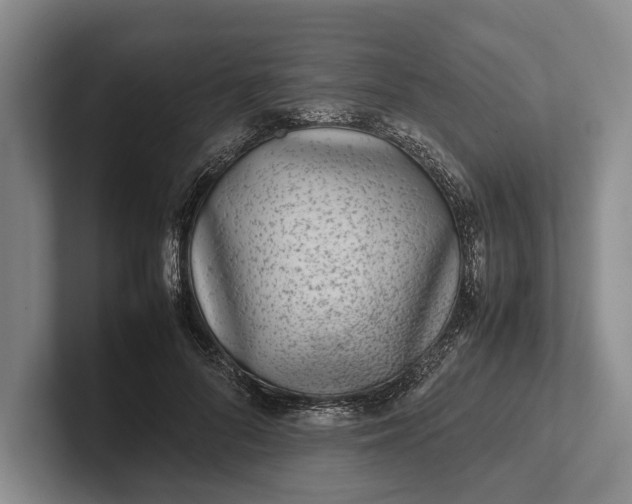 X0000102270696200808081441