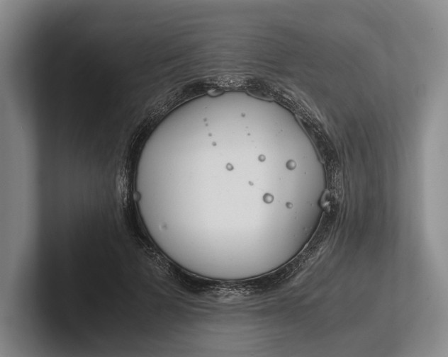 X0000102270697200808081441