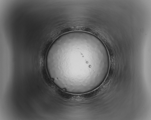 X0000102270699200808081441