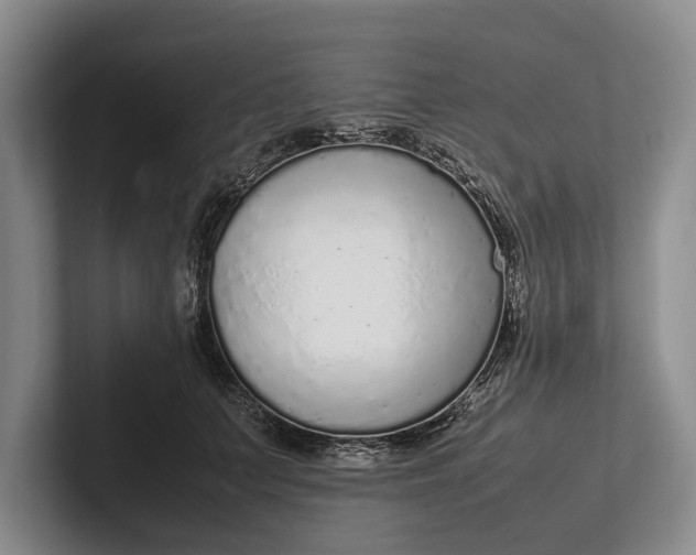 X0000102270703200808081441