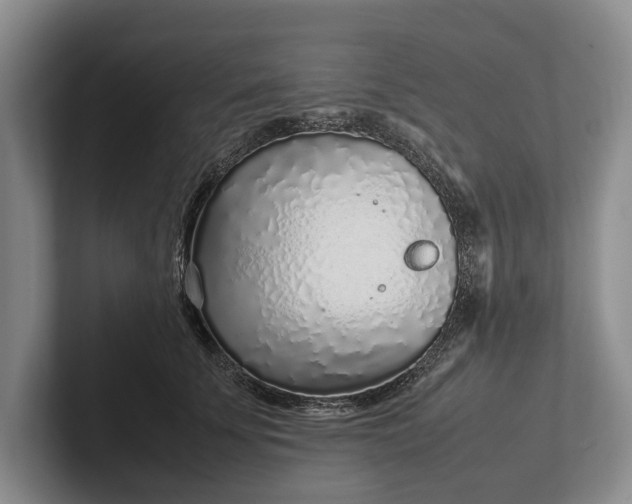 X0000102270707200808081441