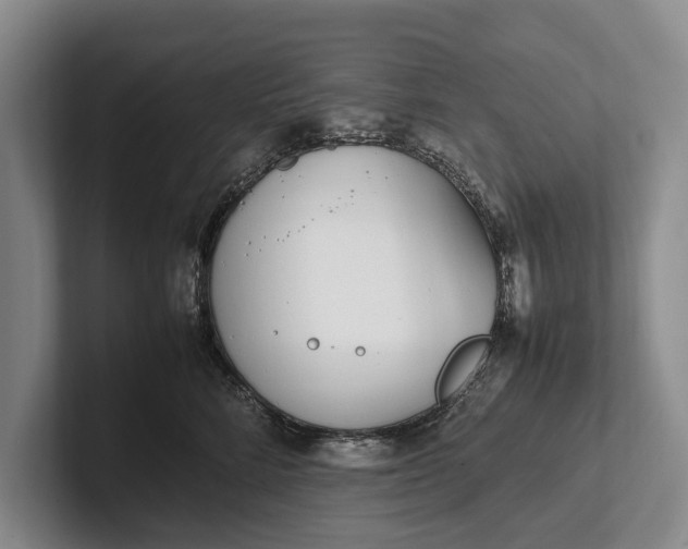 X0000102270712200808081441