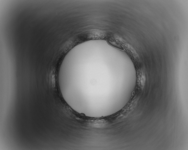 X0000102270716200808081441