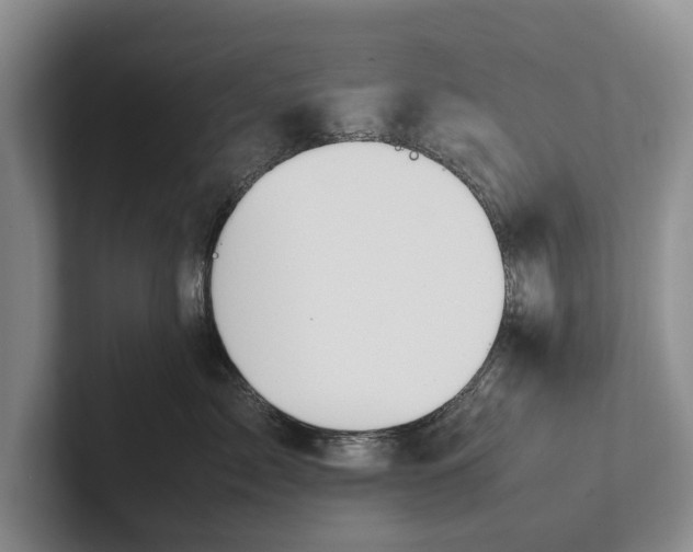 X0000102270717200808081441