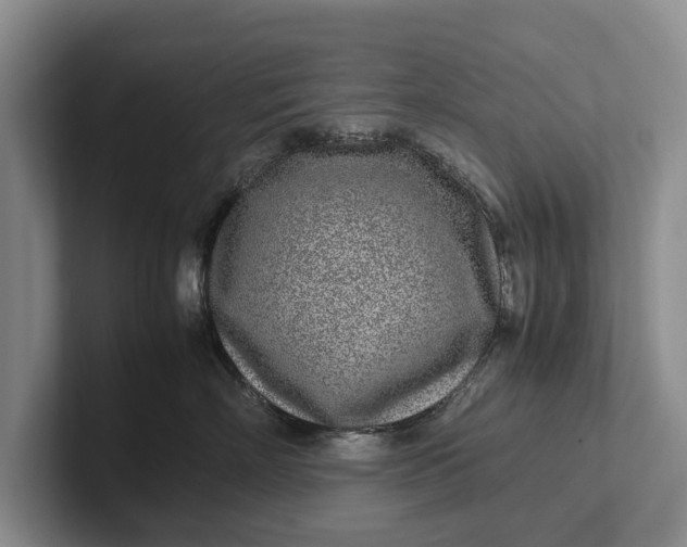 X0000102270718200808081440