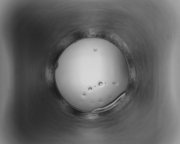 X0000102270719200808081440