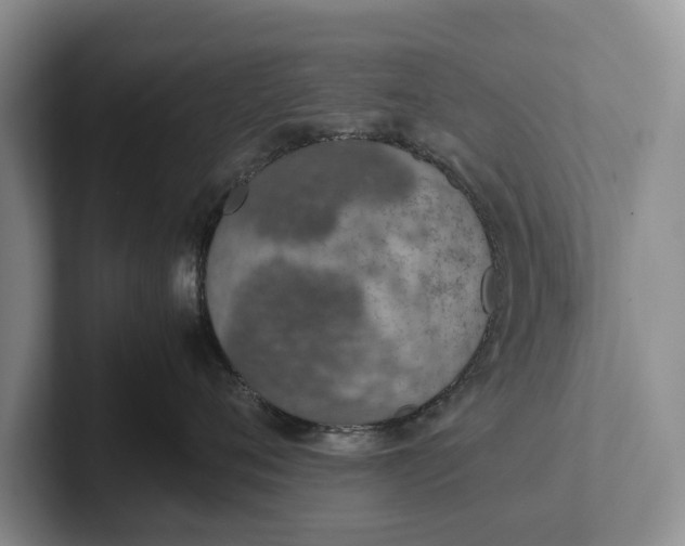 X0000102270720200808081440