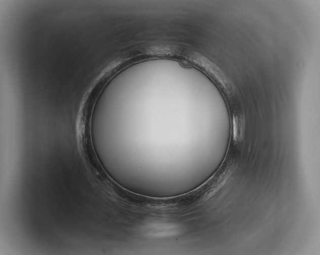 X0000102270723200808081440