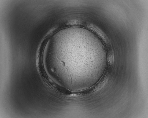 X0000102270724200808081440