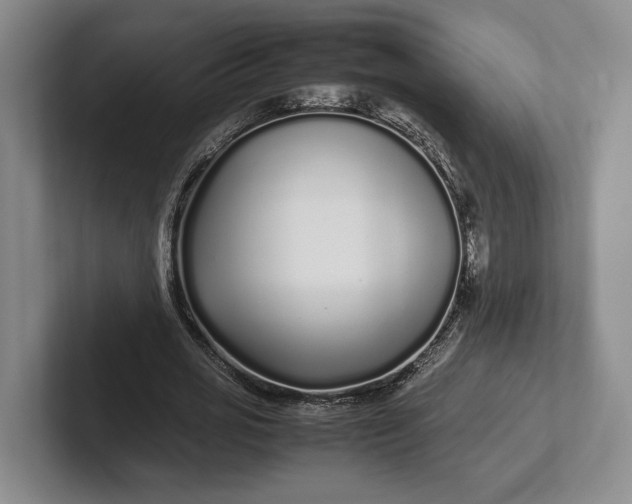 X0000102270725200808081440