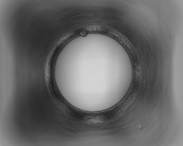 X0000102270727200808081440