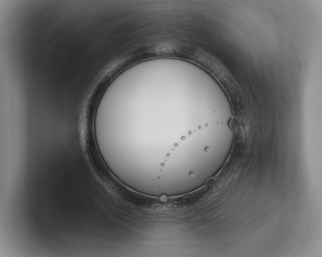 X0000102270728200808081440