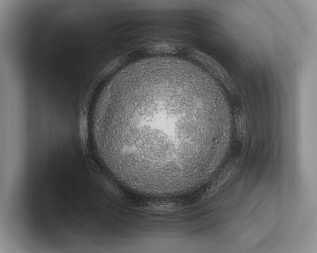 X0000102270729200808081440