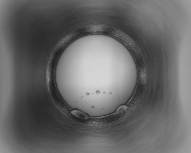 X0000102270732200808081440