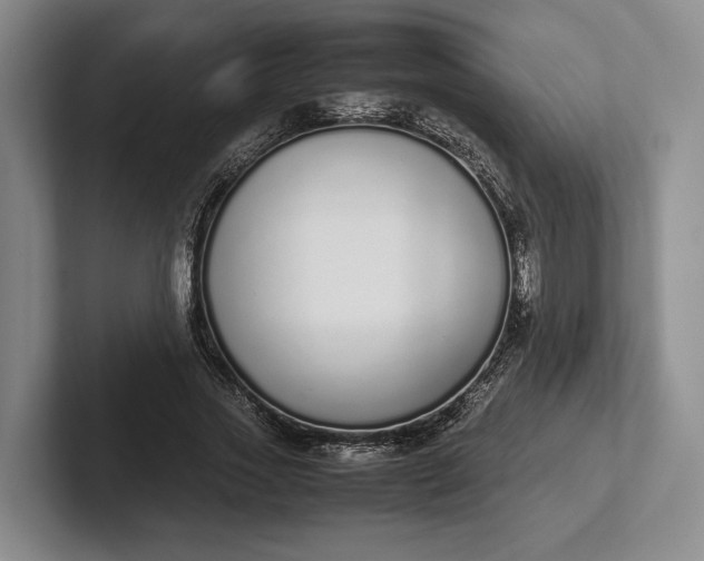 X0000102270733200808081440