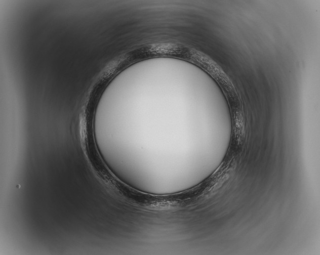 X0000102270734200808081440