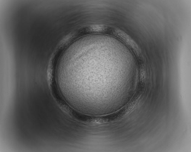 X0000102270736200808081440