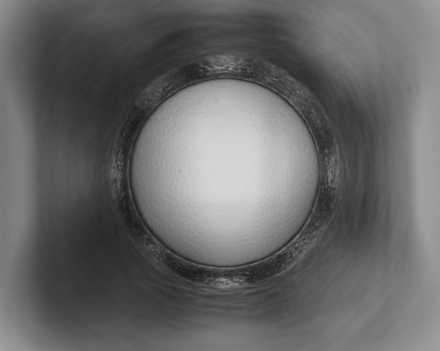 X0000102270737200808081440