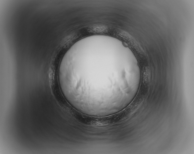 X0000102270739200808081440