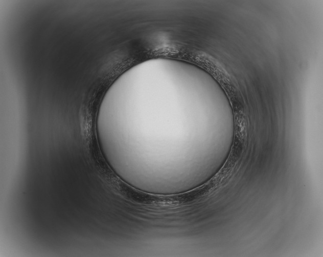 X0000102270745200808081440