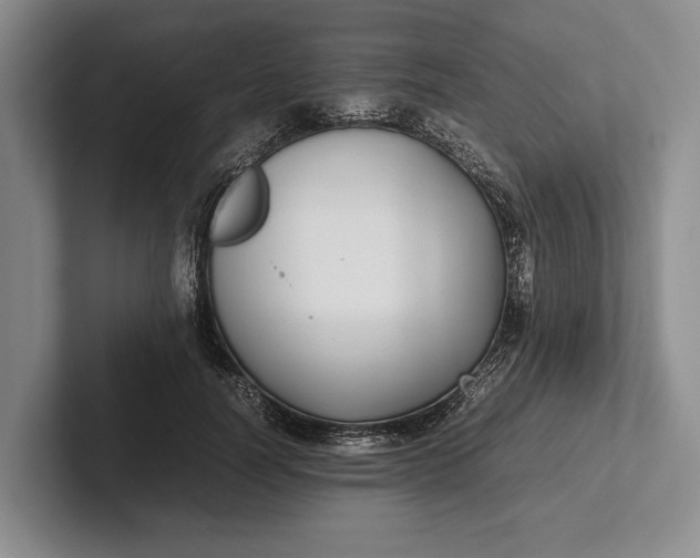 X0000102270746200808081440