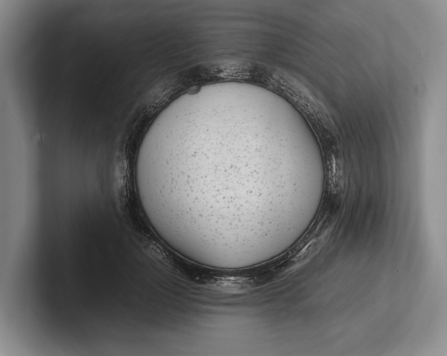 X0000102270748200808081440