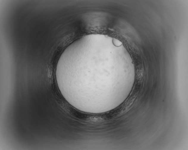 X0000102270749200808081440